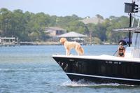 2020-jun-14-pirates-1-1030-1100-IMG_0172