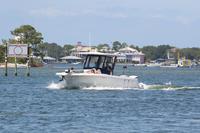 2020-jun-14-pirates-1-1100-1130-IMG_0296