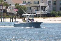 2020-jun-14-pirates-1-1100-1130-IMG_0314