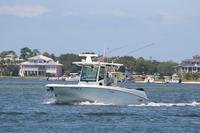 2020-jun-14-pirates-1-1100-1130-IMG_0321