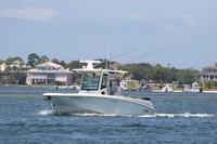 2020-jun-14-pirates-1-1100-1130-IMG_0323