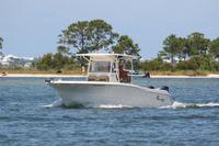 2020-jun-14-pirates-1-1100-1130-IMG_0527