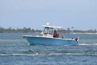 2020-jun-14-pirates-1-1100-1130-IMG_0601