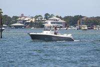 2020-jun-14-pirates-1-1230-1300-IMG_1175