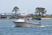 2020-jun-14-pirates-1-1230-1300-IMG_1262