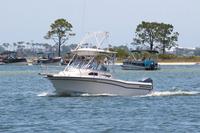 2020-jun-14-pirates-1-1230-1300-IMG_1263