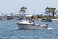 2020-jun-14-pirates-1-1230-1300-IMG_1264