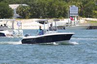 2020-jun-14-pirates-1-1300-1330-IMG_1334