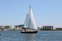 2020-jun-14-pirates-1-1300-1330-IMG_1508