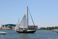 2020-jun-14-pirates-1-1300-1330-IMG_1533