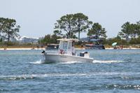 2020-jun-14-pirates-1-1300-1330-IMG_1633