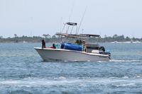 2020-jun-14-pirates-1-1330-1400-IMG_1757