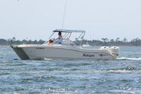 2020-jun-14-pirates-1-1430-1500-IMG_4005