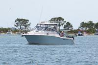 2020-jun-14-pirates-1-1430-1500-IMG_4069