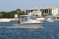 2020-jun-14-pirates-1-1500-1530-IMG_4609