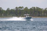 2020-jun-20-pirates-1-1200-1230-IMG_0094