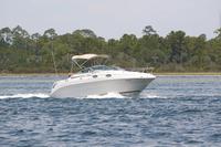 2020-jun-20-pirates-1-1200-1230-IMG_0153