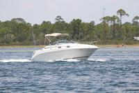 2020-jun-20-pirates-1-1200-1230-IMG_0155