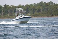 2020-jun-20-pirates-1-1200-1230-IMG_0317