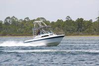 2020-jun-20-pirates-1-1200-1230-IMG_0321