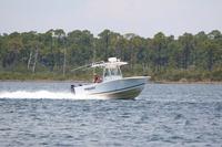 2020-jun-20-pirates-1-1230-1300-IMG_0608