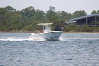 2020-jun-20-pirates-1-1230-1300-IMG_0992