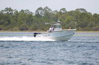 2020-jun-20-pirates-1-1230-1300-IMG_1010