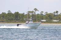 2020-jun-20-pirates-1-1230-1300-IMG_1011