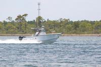 2020-jun-20-pirates-1-1230-1300-IMG_1014