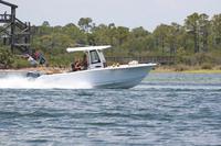 2020-jun-20-pirates-1-1230-1300-IMG_1065