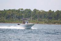 2020-jun-20-pirates-1-1300-1330-IMG_1071