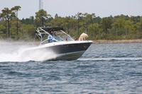 2020-jun-20-pirates-1-1300-1330-IMG_1090