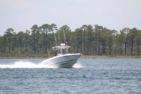 2020-jun-20-pirates-1-1300-1330-IMG_1110