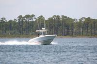 2020-jun-20-pirates-1-1300-1330-IMG_1111