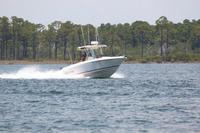 2020-jun-20-pirates-1-1300-1330-IMG_1112