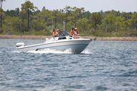 2020-jun-20-pirates-1-1300-1330-IMG_1211