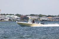 2020-jun-20-pirates-1-1300-1330-IMG_1293