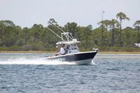 2020-jun-20-pirates-1-1300-1330-IMG_1316