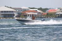 2020-jun-20-pirates-1-1300-1330-IMG_1385