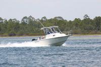 2020-jun-20-pirates-1-1300-1330-IMG_1392