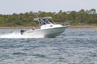 2020-jun-20-pirates-1-1300-1330-IMG_1397