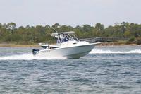 2020-jun-20-pirates-1-1300-1330-IMG_1399