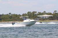 2020-jun-20-pirates-1-1300-1330-IMG_1402