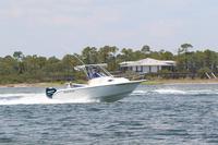 2020-jun-20-pirates-1-1300-1330-IMG_1403