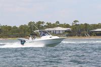 2020-jun-20-pirates-1-1300-1330-IMG_1404