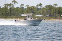 2020-jun-20-pirates-1-1300-1330-IMG_1649