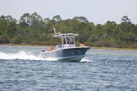 2020-jun-20-pirates-1-1300-1330-IMG_1705