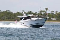 2020-jun-20-pirates-1-1330-1400-IMG_1835