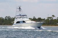 2020-jun-20-pirates-1-1330-1400-IMG_2284