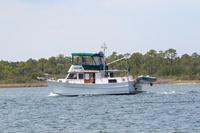 2020-jun-20-pirates-1-1430-1500-IMG_2946